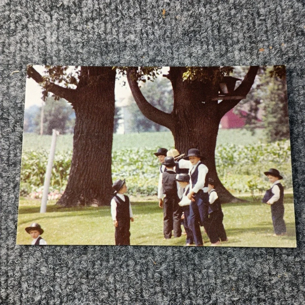 Amish Postcards Set of 3 Horse Buggy Farm Life John‎ M Zielinski Photography VTG